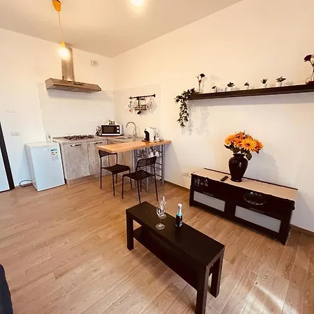 Fiera&aeroporto House * فيوميتشينو